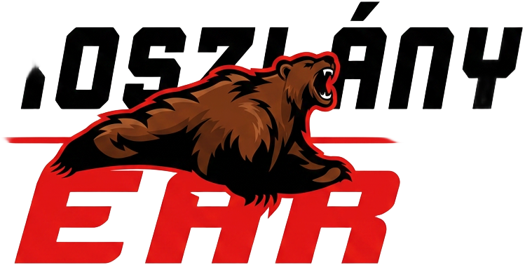 Oroszlány Bears