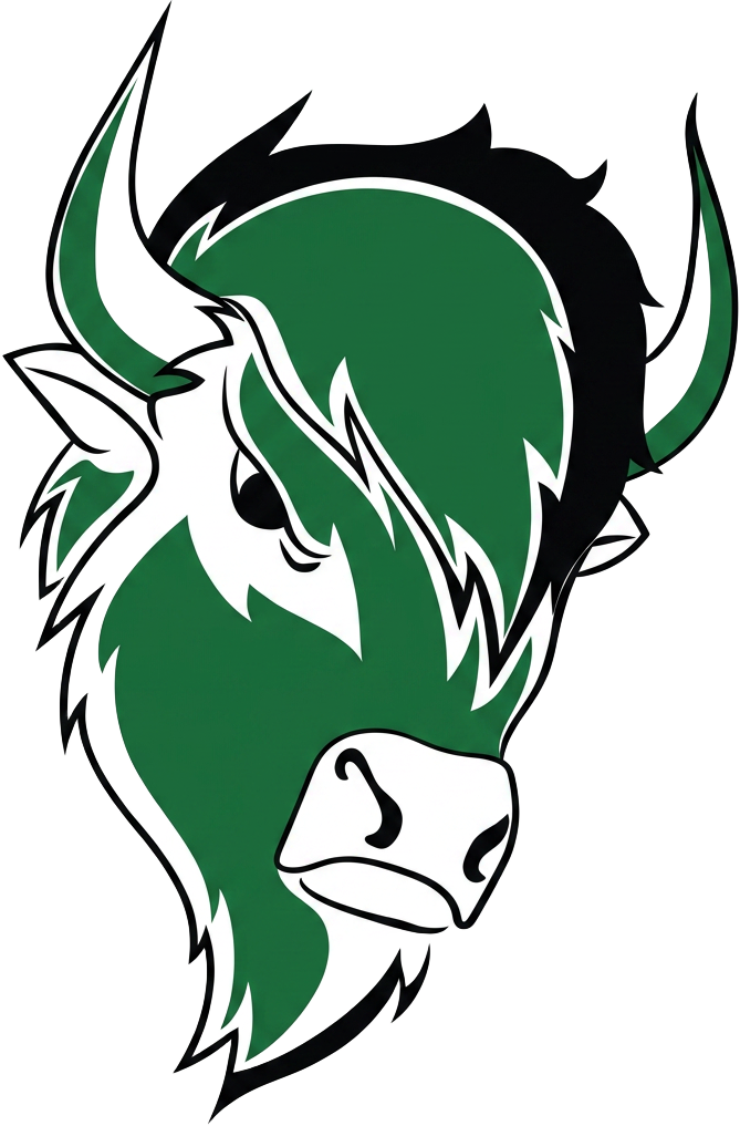 Adony Bisons
