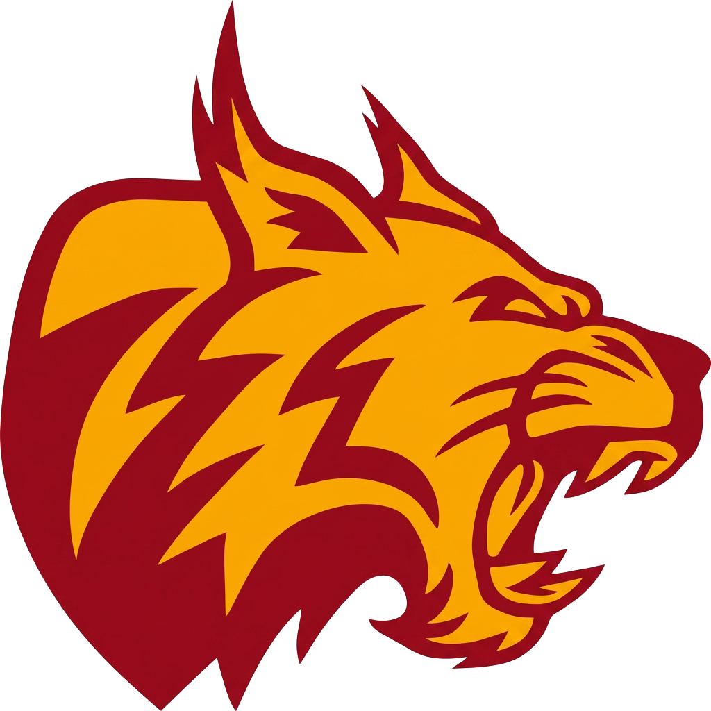 Borsod Bobcats