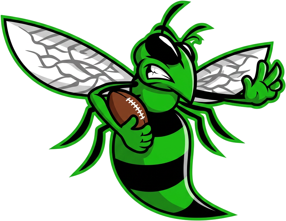 Kaposvár Hornets